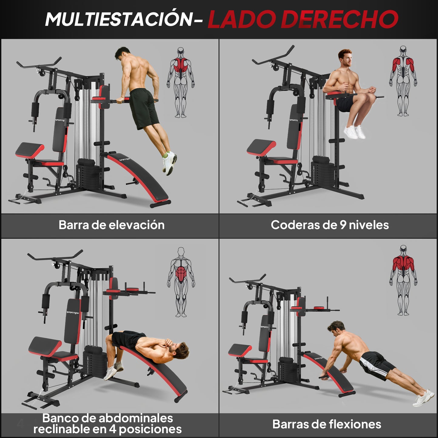 Multiestación de Musculación con Placas de Peso de 45 kg Carga Max. 110 kg para Entrenamiento 225x175x200 cm Negro