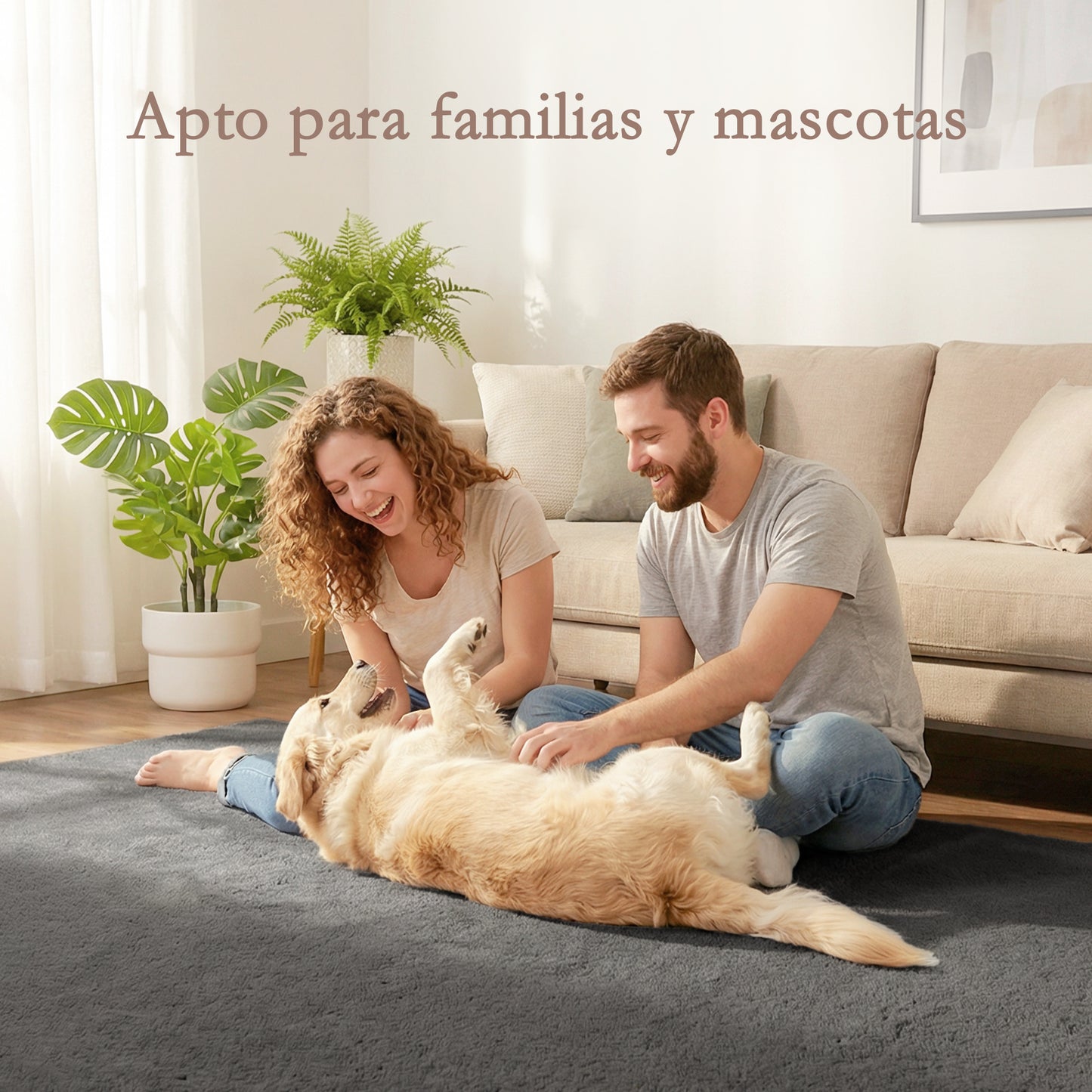 Alfombra Salón 120x160 cm Lavable en Lavadora Pelo Largo Estilo Moderno Tapete para Sala de Estar Dormitorio Gris Claro