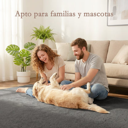 Alfombra Salón 120x160 cm Lavable en Lavadora Pelo Largo Estilo Moderno Tapete para Sala de Estar Dormitorio Gris Claro