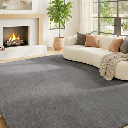 Alfombra Salón 120x160 cm Lavable en Lavadora Pelo Largo Estilo Moderno Tapete para Sala de Estar Dormitorio Gris Claro